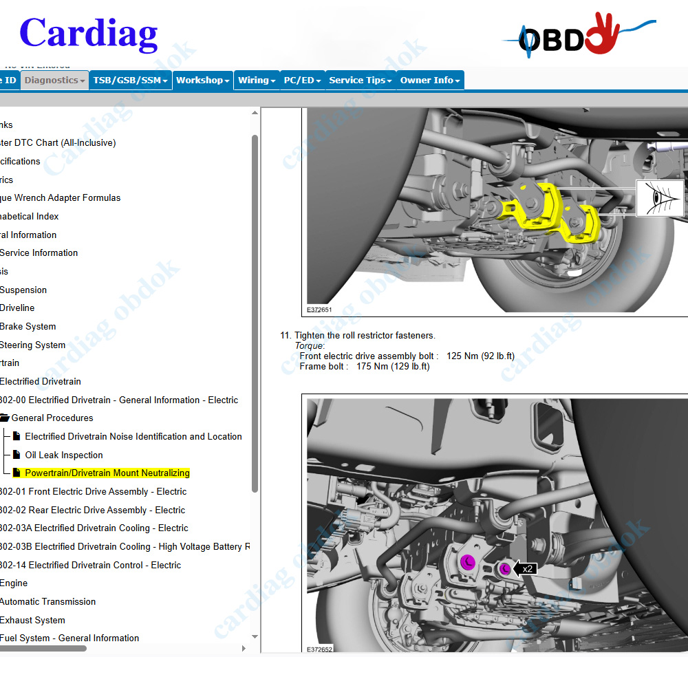 2026 for Ford PTS Online Softw - Workshop Tools Diagram ulasan dan harga