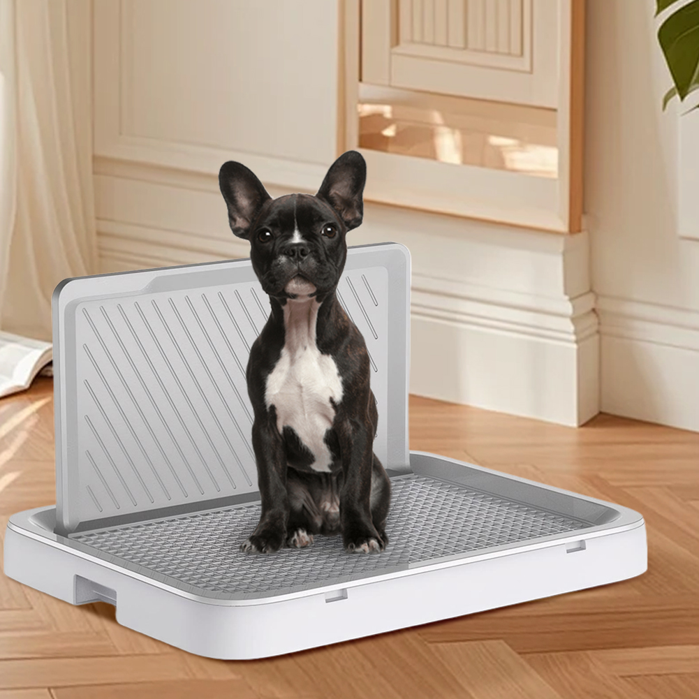 Dog Potty Tray with Pee Wall T - Bench Dog Hole ulasan dan harga